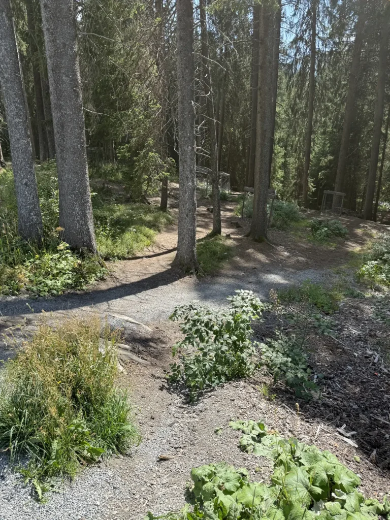 Lenzerheide, Eingang Eichhörnchenwald