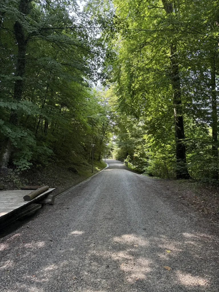 Uetliberg, der Waldweg zum Gipfel